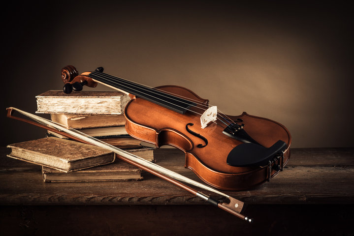 Violinist Meg
